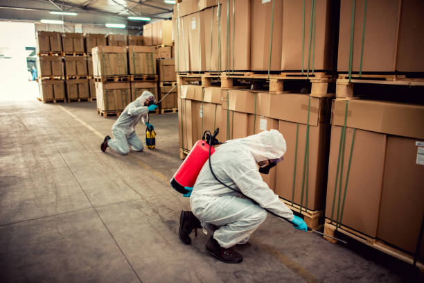 Best Emergency Pest Control  in Walnut, IL