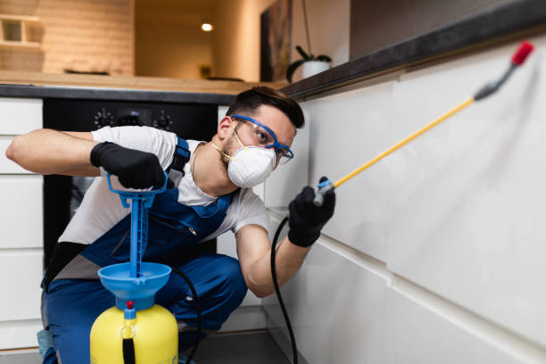 Best Local Pest Control Services  in Walnut, IL