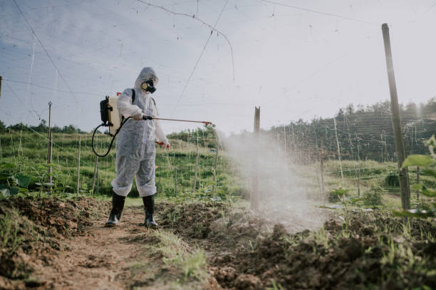 Best Ant Control Services  in Walnut, IL