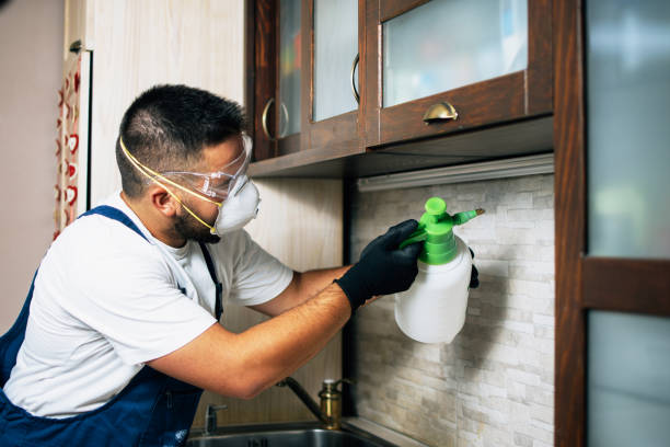 Best Residential Pest Control  in Walnut, IL