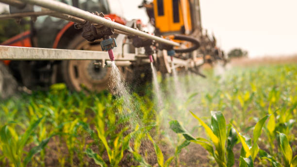 Best Wildlife Control Services  in Walnut, IL