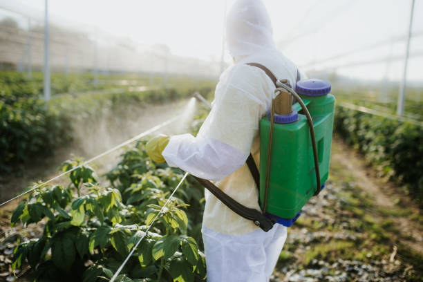 Best Pest Removal Services  in Walnut, IL